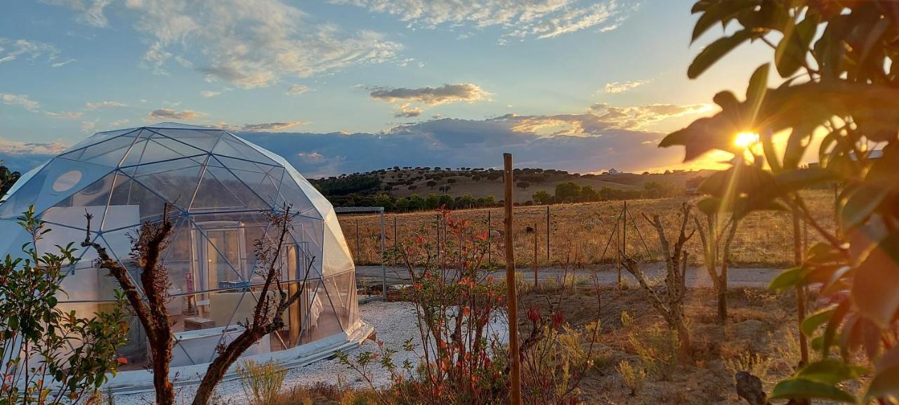 Glamping Skies - Adults Only إيستريموز المظهر الخارجي الصورة